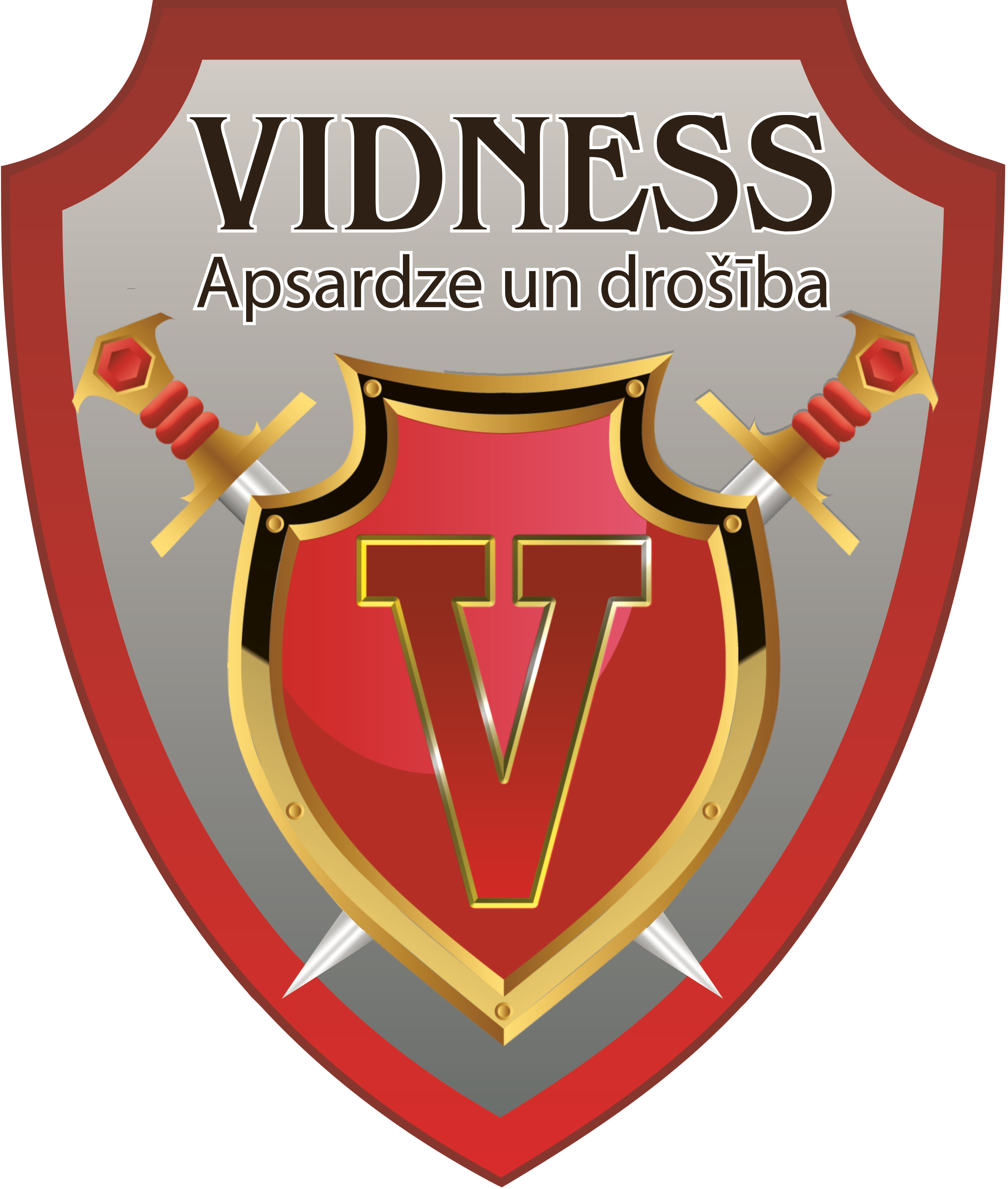 VIDNESS Logo